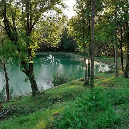 Sorgenti Nel Bosco Vista Nyaraló Campo Reggiano