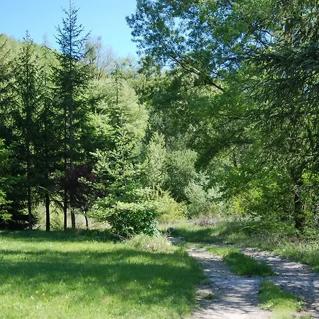 Sorgenti Nel Bosco Appartamento Vista Lago Campo Reggiano