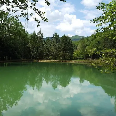 Holiday home Sorgenti Nel Bosco Appartamento Vista Lago Campo Reggiano
