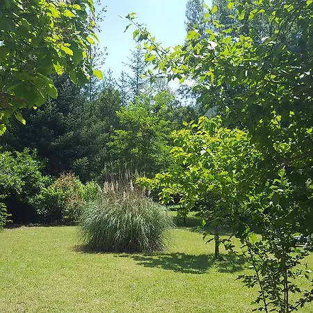 Casa de Férias Sorgenti Nel Bosco Vista